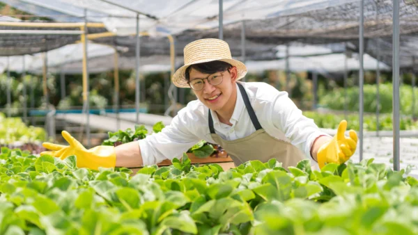 若手農家の想い「野菜だけじゃなく、人も育てたい」
