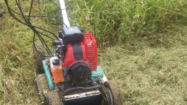 畑の草刈りをしました！